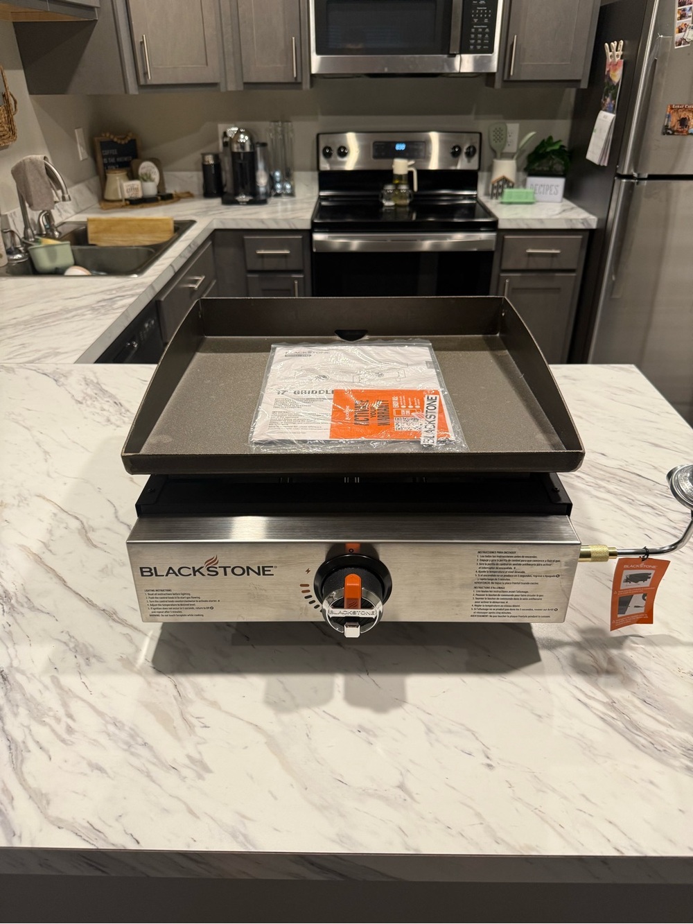 Blackstone Stainless Steel Griddle with Black Cooking Surface